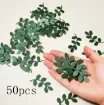 confetti apliques hojas 50x20mms color verde x50 unidades 0