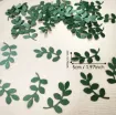 confetti apliques hojas 50x20mms color verde x50 unidades 2