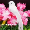 pajarito decorativo paloma blanca medida 15x4cms por unidad 1