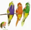 pajarito decorativo loro medida 15x4cms por unidad varios colores 0