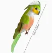 pajarito decorativo loro medida 15x4cms por unidad varios colores 1
