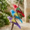 pajarito decorativo loro medida 12x3cms por unidad varios colores 4