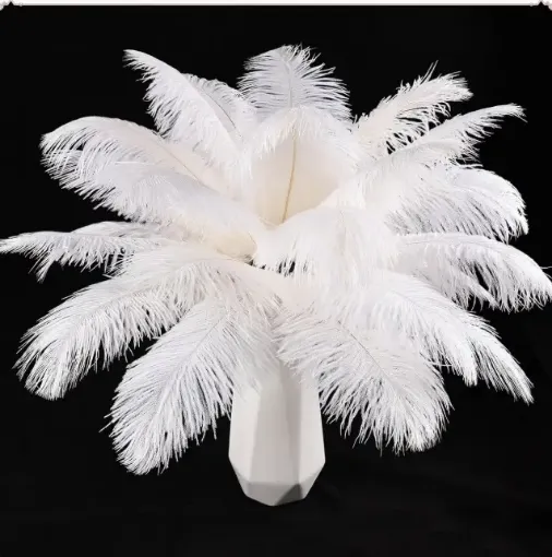 pluma blanca 15 20cms por 5 unidades 0