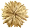 pluma dorada 10 15cms por 10 unidades 0