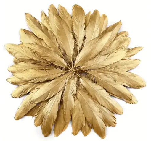 pluma dorada 10 15cms por 10 unidades 0