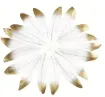 pluma blanca punta dorada 10 15cms por 10 unidades 2