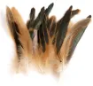 pluma cola gallo natural 20 30cms por 10 unidades 0