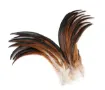 pluma cola gallo natural 20 30cms por 10 unidades 1