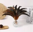 pluma cola gallo natural 20 30cms por 10 unidades 2