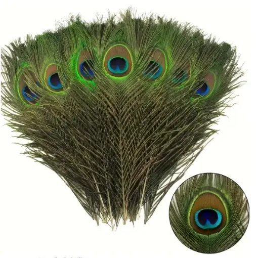 pluma pavo real 25 30cms por unidad 0