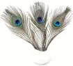 pluma pavo real 25 30cms por unidad 2