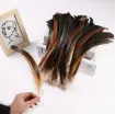 pluma cola gallo natural 20 30cms por 10 unidades 3
