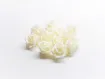 rosa foam goma eva 3 5cms paquete 12 unidades color marfil 0