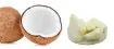cera coco vegetal 100 renovable biodegradable cremosa ideal para fabricar velas calidad x500grs 2