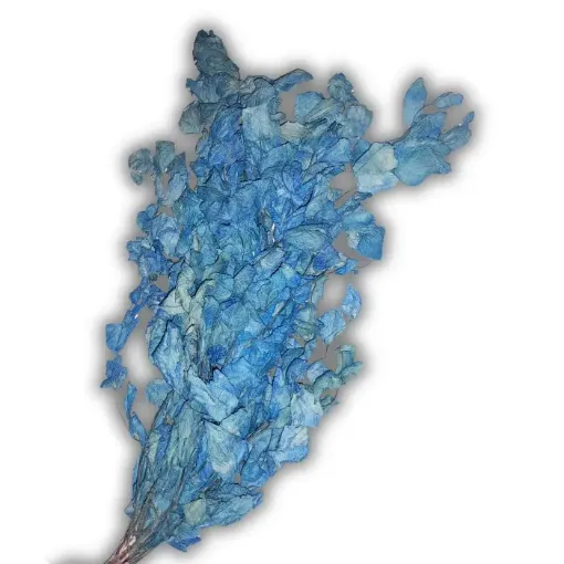 ramo brachichito seco para arreglos florales color celeste 0