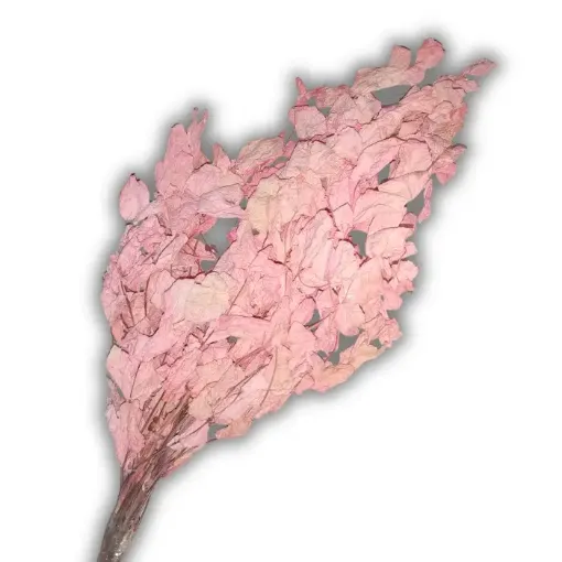 ramo brachichito seco para arreglos florales color rosado pastel 0