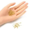 set 100 clavos para caravanas acero inoxidable 13x4 3mms arito colgar color oro x100 aprox 3