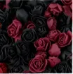 rosa foam goma eva 3 5cms paquete 25 unidades combinadas vino negro 0