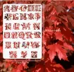 stencil plantilla letras abcdario alfabeto medida 30x21cms letras hojas 1