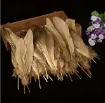 pluma dorada 15 20cms por 10 unidades aprox 2