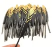 pluma negra punta dorada 10 15cms por 10 unidades 1