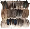 plumas naturales pavo 12 motivos 10 25cms por 15 unidades 0