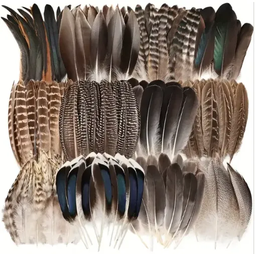 plumas naturales pavo 12 motivos 10 25cms por 15 unidades 0