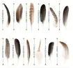 plumas naturales pavo 12 motivos 10 25cms por 15 unidades 1