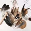 plumas naturales pavo 12 motivos 10 25cms por 15 unidades 2