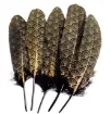 pluma negra punta estampada dorada 14 20cms por 10 unidades 0