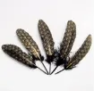 pluma negra punta estampada dorada 14 20cms por 10 unidades 2