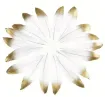 pluma blanca punta dorada 15 25cms por 10 unidades 0