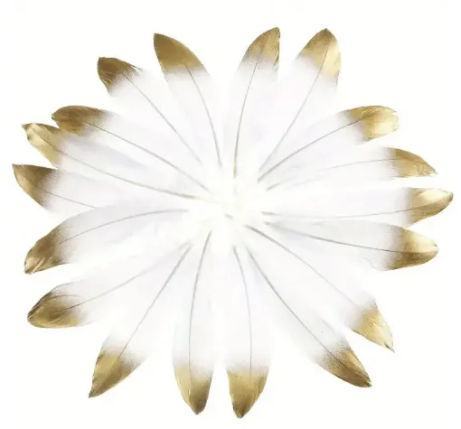 pluma blanca punta dorada 15 25cms por 10 unidades 0