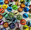 ojos realistas vidrio 8mms para amigurumis peluches dragon gato buho x30 unidades 15 pares surtidos 2