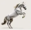 molde silicona para resina epoxi porcelana masas modelo caballo galopante medida 90x85mms 1