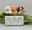 molde silicona para resina epoxi porcelana masas modelo perritos x3 medida 85x42mms 1