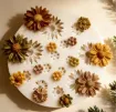 molde silicona para resina epoxi porcelana masas modelo girasoles margaritas x13 medida 78x78mms 3