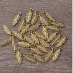 dije colgante metalico modelo pluma medida 5x15mms x15 unidades color dorado 0