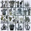 stencil plantilla reutilizable 13x13cms modelo suculentas x16 motivos diferentes eleccion por unidad 0