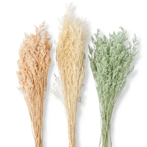 follaje flores secas caspia fina ramo 80cms codigo fs3942 variedad colores 0