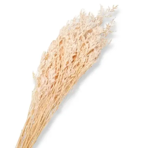 follaje flores secas caspia fina ramo 80cms codigo fs3942 color salmon pastel 0