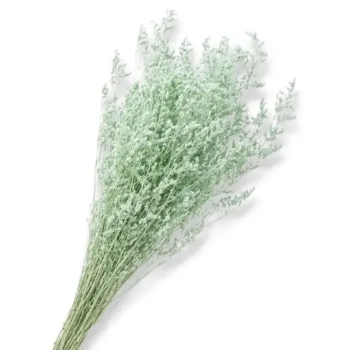 follaje flores secas caspia fina ramo 80cms codigo fs3942 color verde pastel 0