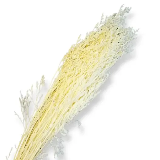 follaje flores secas caspia fina ramo 80cms codigo fs3942 color crudo pastel 0
