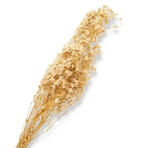 follaje flores secas ramo 80cms codigo fs2732 ilusion color natural 0