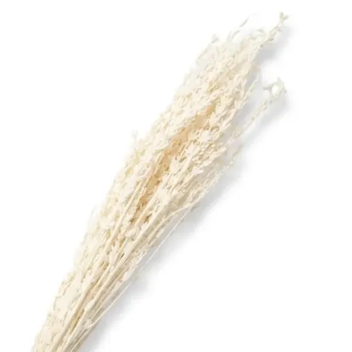 follaje flores secas lavanda fina ramo 50cms codigo fs3947 color blanco 0