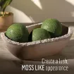 pasta textura acrilica textured medium acrylic moss fok art efecto musgo x2oz 59ml 3